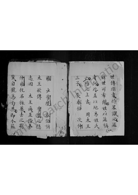 山西延氏-延氏家谱.pdf电子版预览图4
