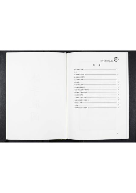 山东阎氏-淄川响泉村阎氏家谱.pdf电子版预览图2
