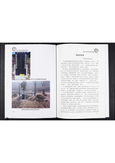 山东阎氏-淄川响泉村阎氏家谱.pdf电子版预览图4