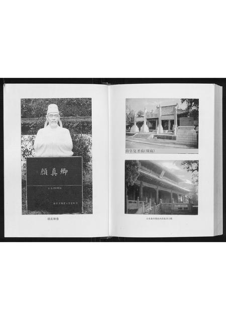 四川颜氏-颜氏通谱.颜应祥支谱.pdf电子版预览图3