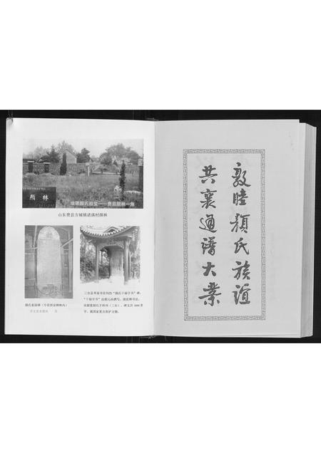 四川颜氏-颜氏通谱.颜应祥支谱.pdf电子版预览图4