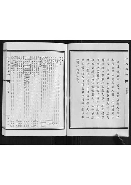 山东严氏-严氏家谱.pdf电子版预览图3