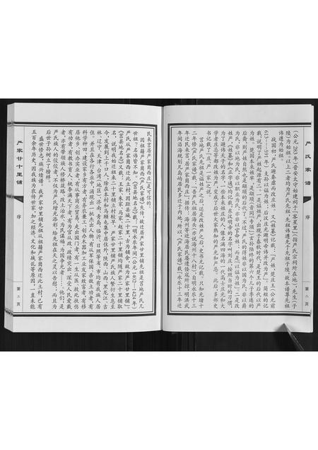 山东严氏-严氏家谱.pdf电子版预览图5