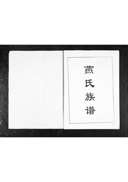 山东燕氏-山东博山蛟龙燕氏族谱[1册](别名：Shan Dong Bo Shan Jiao Long Yan Shi Zu Pu).pdf电子版预览图1