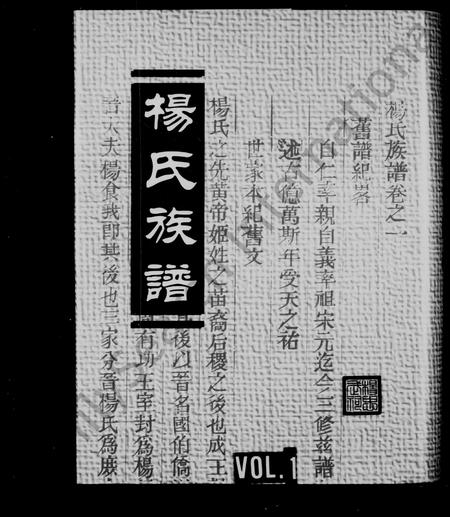 山西杨氏-杨氏族谱 [8卷].pdf电子版缩略图