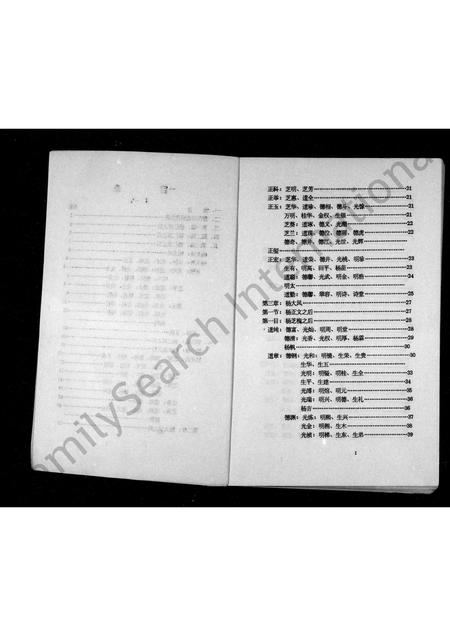 四川杨氏-四川资阳市杨氏家谱.pdf电子版预览图2