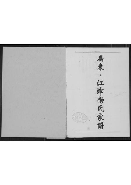 四川杨氏-广东.江津杨氏族谱.pdf电子版预览图2