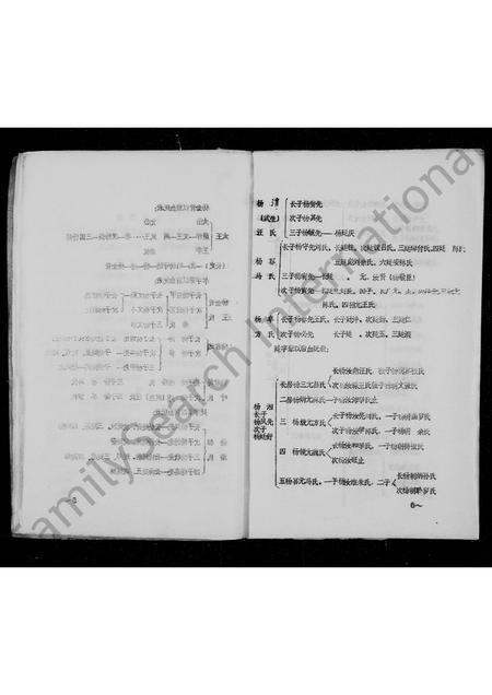 四川杨氏-杨氏家谱.pdf电子版预览图5