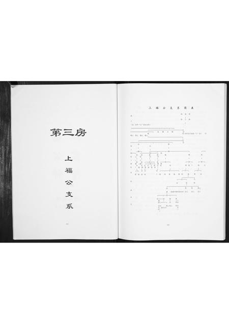 四川杨氏-杨氏族谱.pdf电子版预览图2