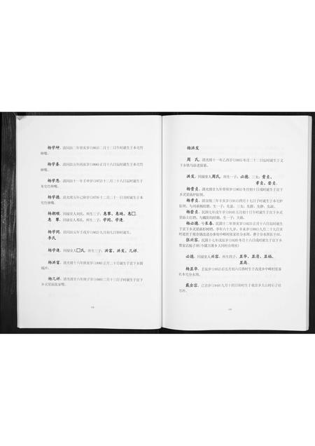 四川杨氏-杨氏族谱.pdf电子版预览图5