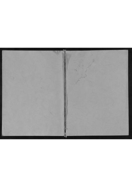 四川杨氏-杨氏族谱[不分卷].pdf电子版缩略图