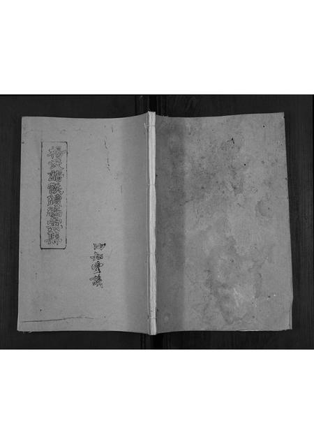 四川杨氏-杨氏谱帙续编汇集[不分卷].pdf电子版缩略图