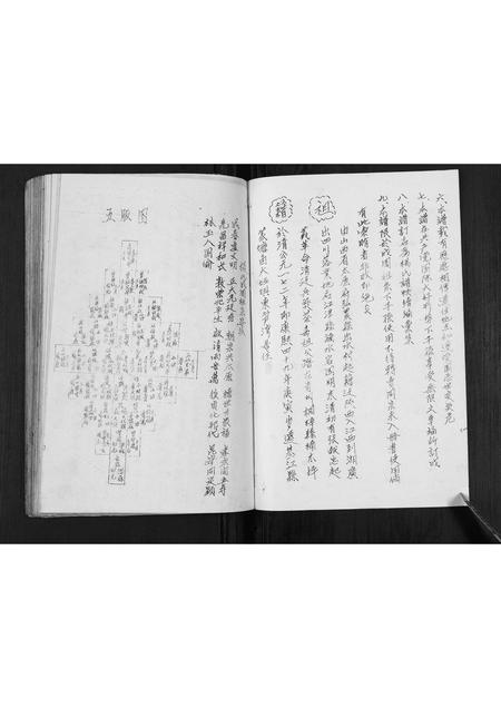 四川杨氏-杨氏谱帙续编汇集[不分卷].pdf电子版预览图2