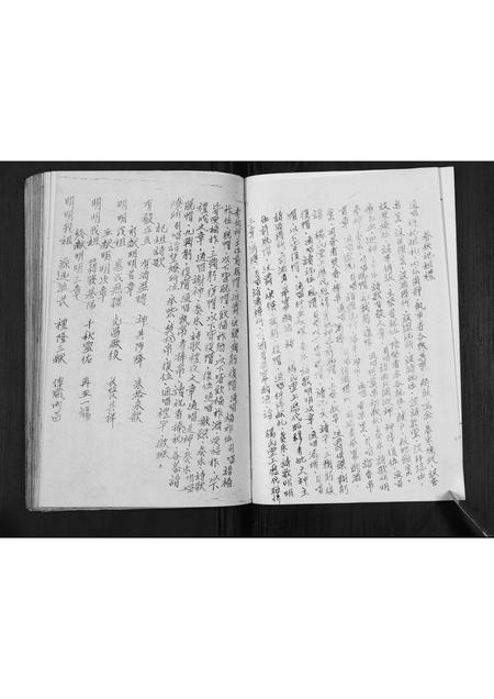 四川杨氏-杨氏谱帙续编汇集[不分卷].pdf电子版预览图3