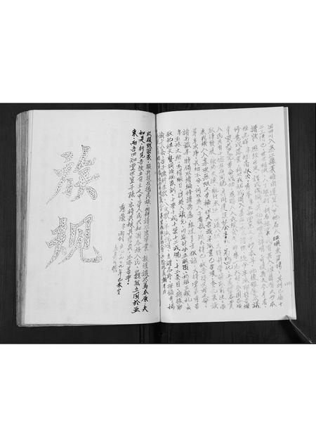 四川杨氏-杨氏谱帙续编汇集[不分卷].pdf电子版预览图5