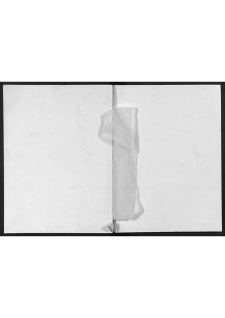 四川杨氏-桥溪杨氏宗谱[不分卷].pdf电子版缩略图