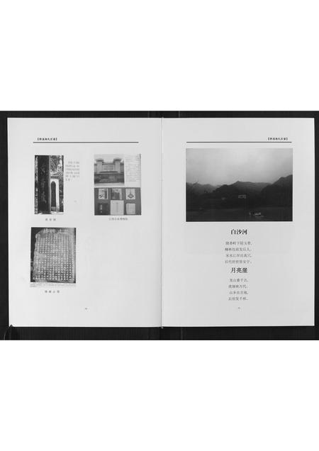 四川杨氏-桥溪杨氏宗谱[不分卷].pdf电子版预览图4