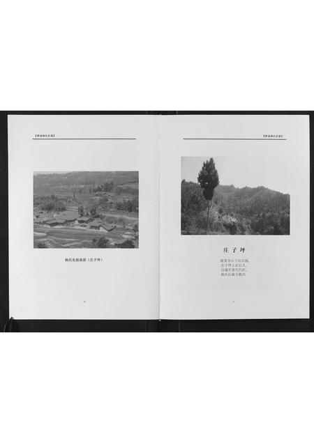 四川杨氏-桥溪杨氏宗谱[不分卷].pdf电子版预览图5