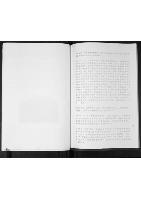 山东杨氏-北颜武杨氏家谱.pdf电子版预览图4