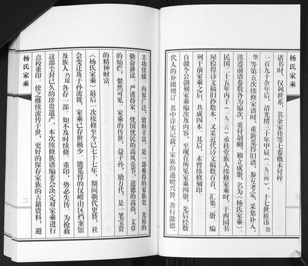 山东杨氏-即墨杨氏家乘[不分卷].pdf电子版预览图2