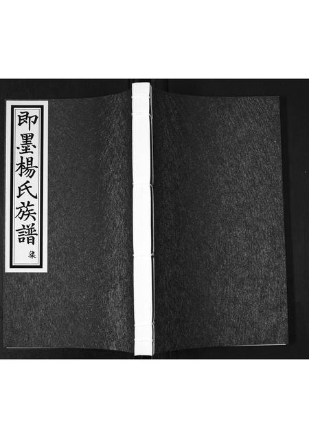 山东杨氏-即墨杨氏族谱[残卷].pdf电子版缩略图