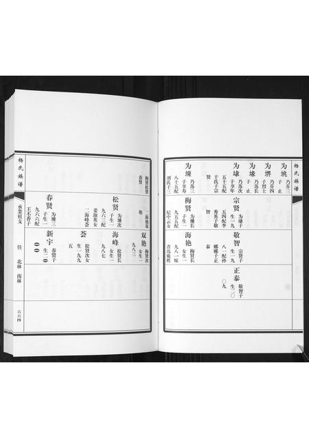 山东杨氏-即墨杨氏族谱[残卷].pdf电子版预览图2