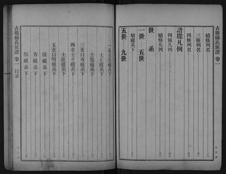 山东杨氏-古滕杨氏族谱[10卷又2卷12卷].pdf电子版预览图4