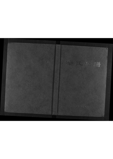 山东杨氏-杨氏世谱[不分卷].pdf电子版缩略图