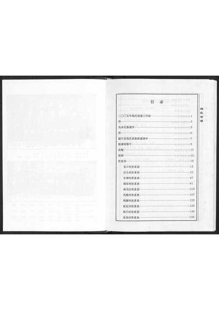 山东杨氏-杨氏世谱[不分卷].pdf电子版预览图2