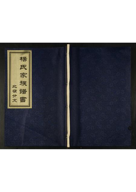 山东杨氏-杨氏家族谱书.北岭分支.pdf电子版缩略图