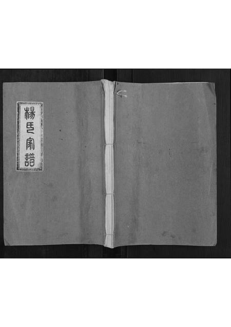 山东杨氏-杨氏家谱.pdf电子版缩略图