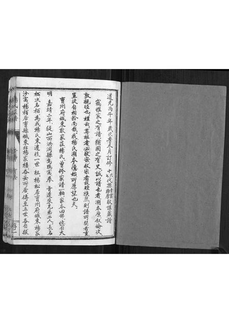 山东杨氏-杨氏家谱.pdf电子版预览图1