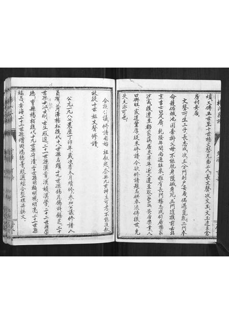 山东杨氏-杨氏家谱.pdf电子版预览图2