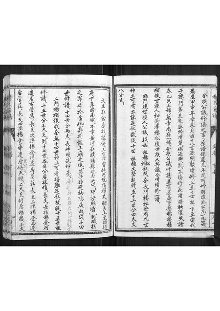 山东杨氏-杨氏家谱.pdf电子版预览图3