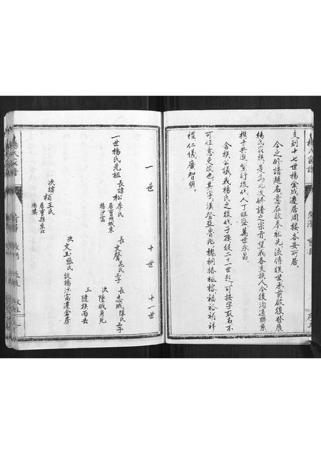 山东杨氏-杨氏家谱.pdf电子版预览图4