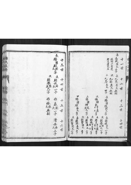 山东杨氏-杨氏家谱.pdf电子版预览图5