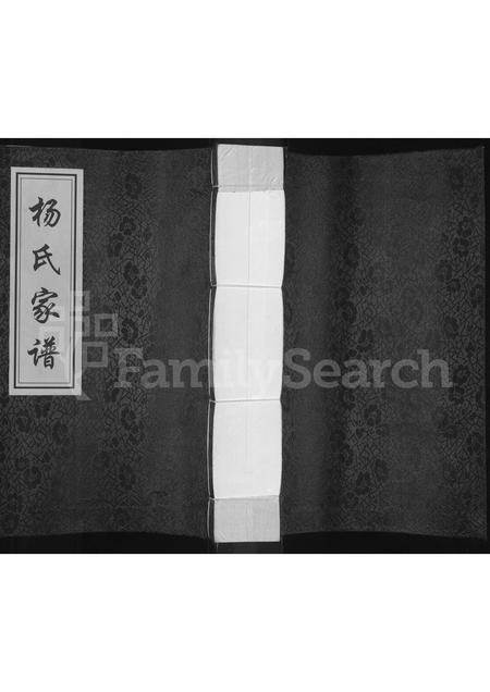 山东杨氏-杨氏家谱.pdf电子版缩略图