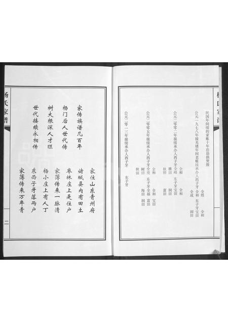 山东杨氏-杨氏家谱.pdf电子版预览图3