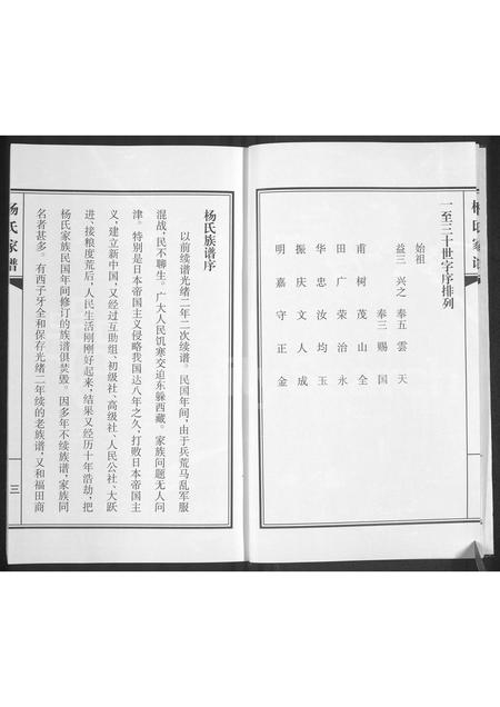 山东杨氏-杨氏家谱.pdf电子版预览图4