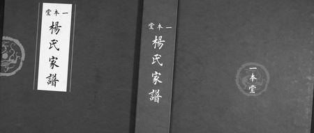 山东杨氏-杨氏家谱.pdf电子版缩略图