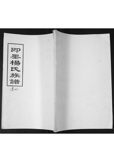 山东杨氏-杨氏族谱.pdf电子版缩略图