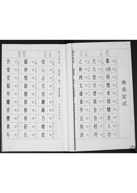 山东杨氏-杨氏族谱.pdf电子版预览图2