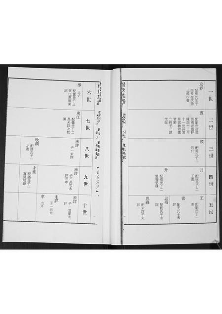 山东杨氏-杨氏族谱.pdf电子版预览图3