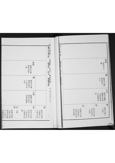 山东杨氏-杨氏族谱.pdf电子版预览图4