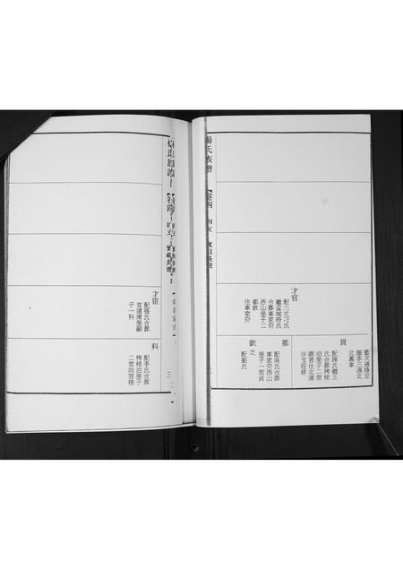 山东杨氏-杨氏族谱.pdf电子版预览图5