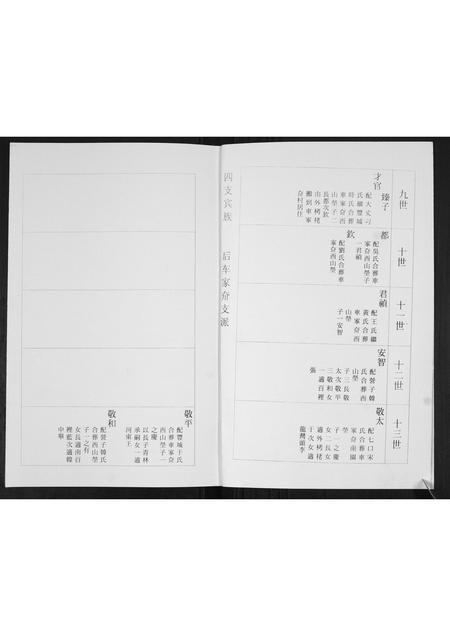 山东杨氏-杨氏族谱[3部].pdf电子版预览图1