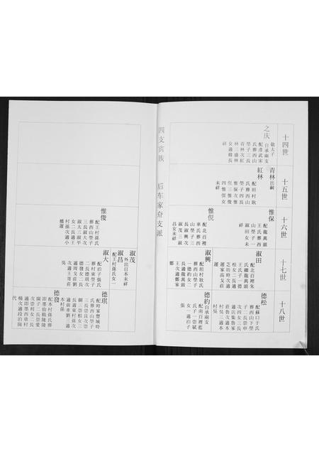 山东杨氏-杨氏族谱[3部].pdf电子版预览图2