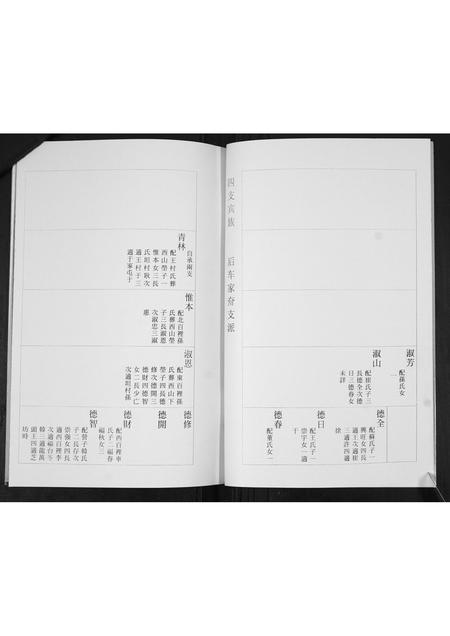 山东杨氏-杨氏族谱[3部].pdf电子版预览图4