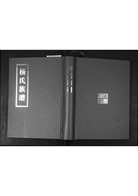 山东杨氏-杨氏族谱[不分卷].pdf电子版缩略图