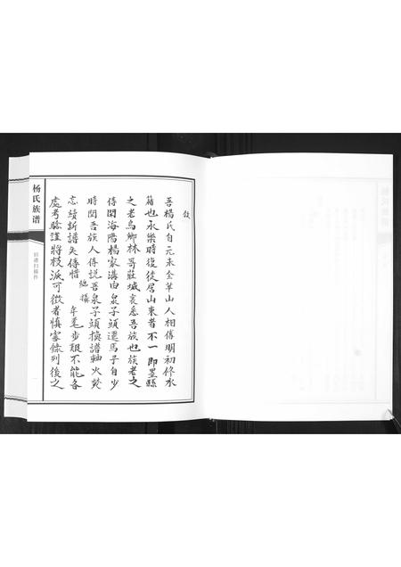 山东杨氏-杨氏族谱[不分卷].pdf电子版预览图3